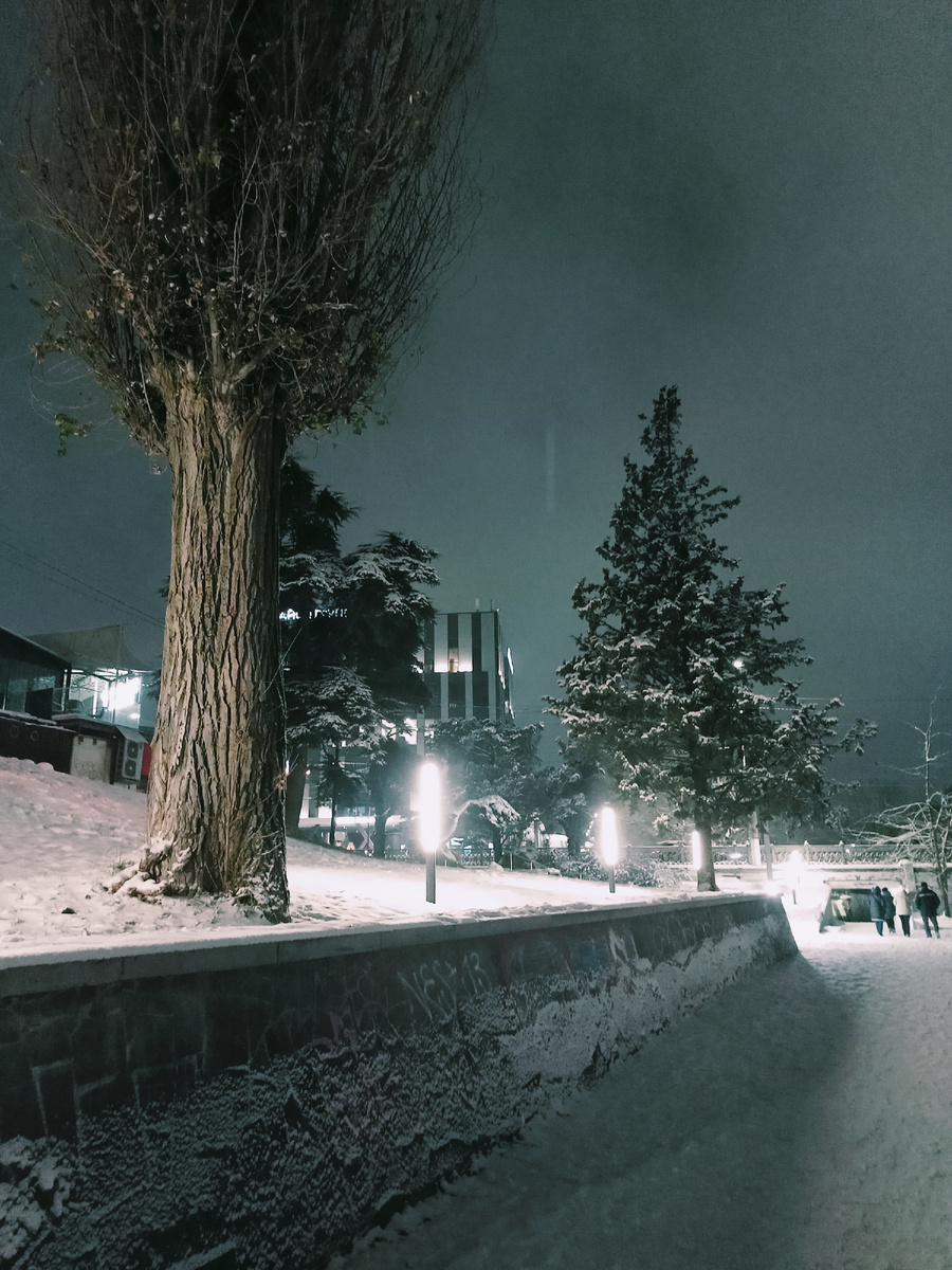 Фото автора.