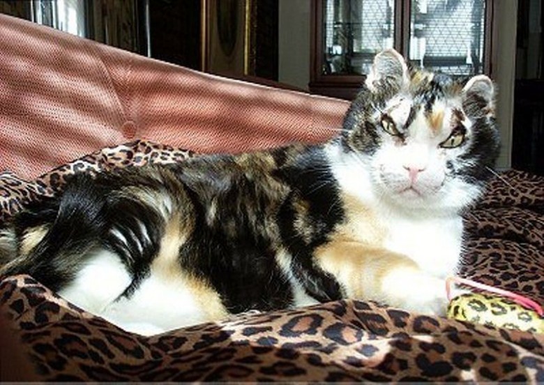 Скарлетт полсе реабилитации 