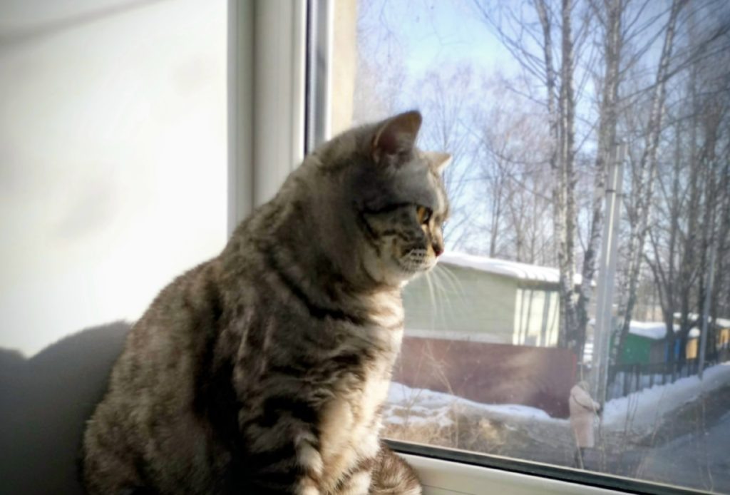    Фото: Кира Перова