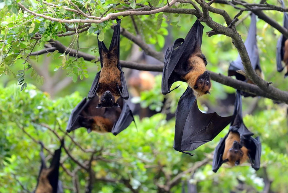     Фото: freepik.com