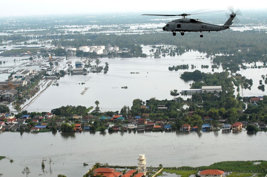 Фото из открытых источников