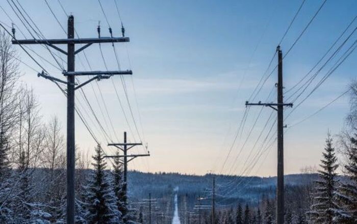 Иллюстрация: сгенерировано нейросетью