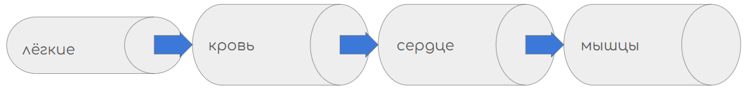 Узкое место - лёгкие