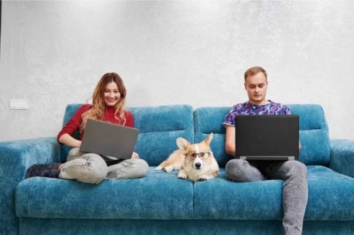    «Ростелеком»:в Мурманске интернет доступен везде, где есть электроснабжение