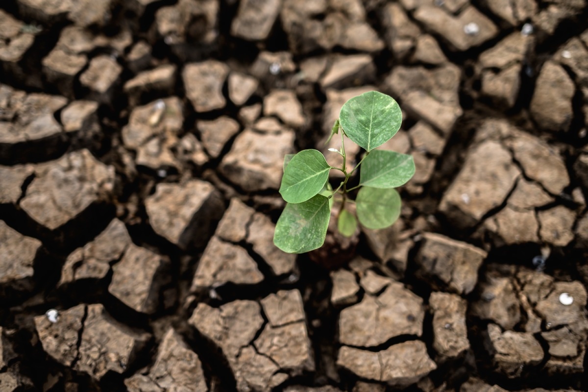    Фото: Jcomp / Freepik.com