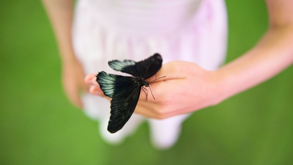     Фото: Ruslan Shugushev/Shutterstock/FOTODOM