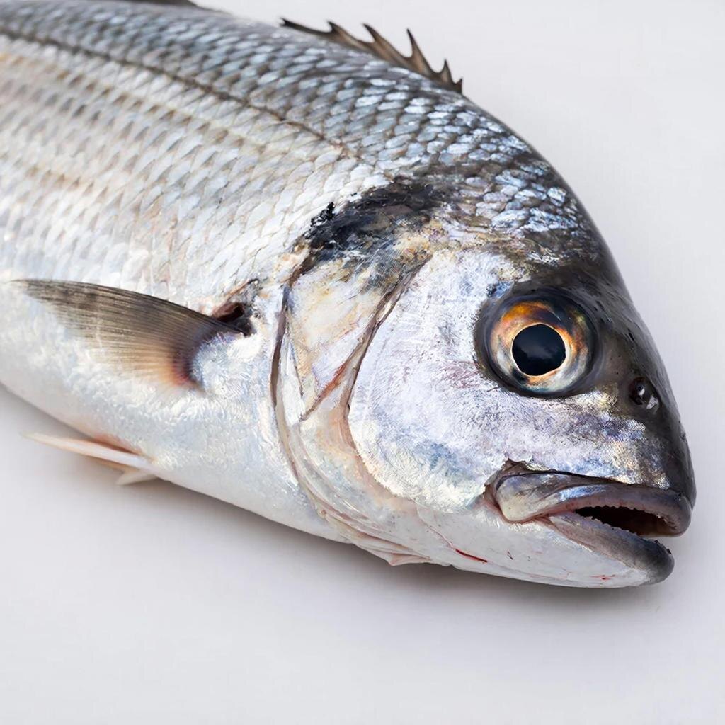 Сгенерировано нейросетью 