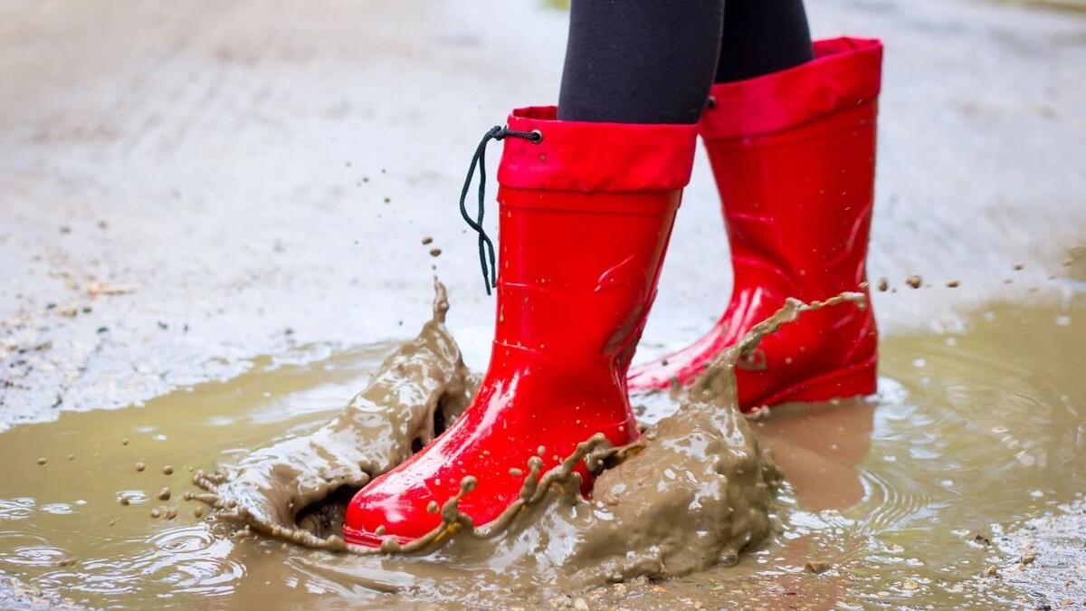    Фото: YuliaF/Shutterstock/Fotodom