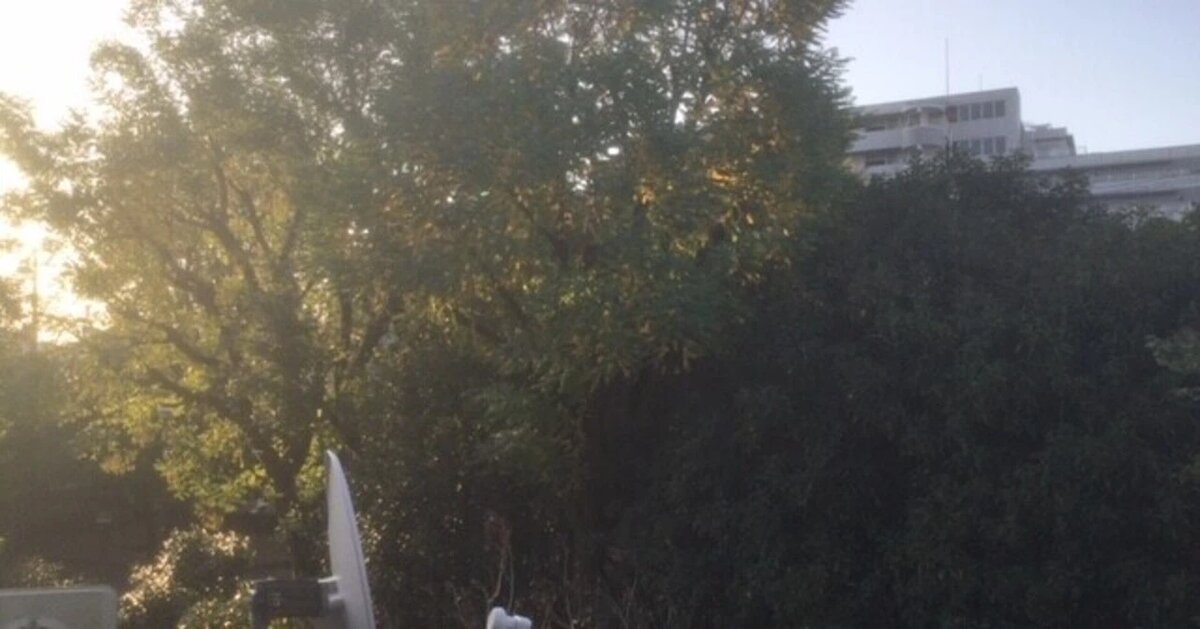 из блога Одзава-сенсея