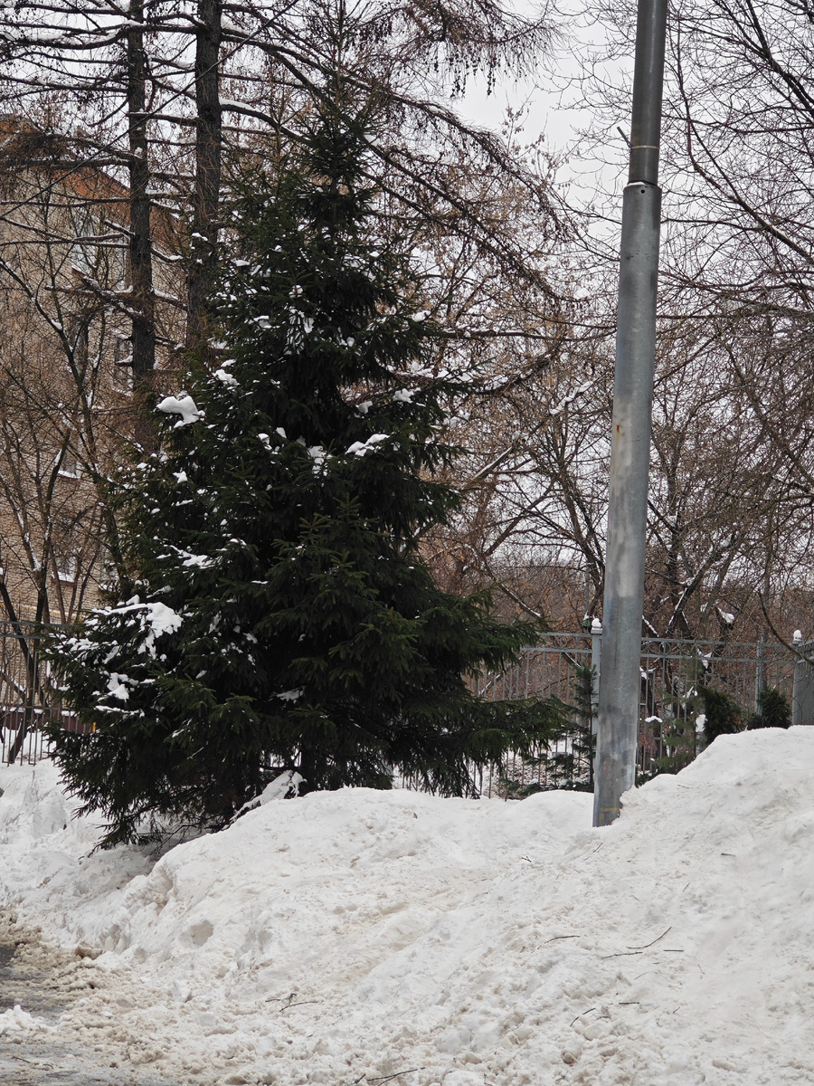 Фото автора канала 