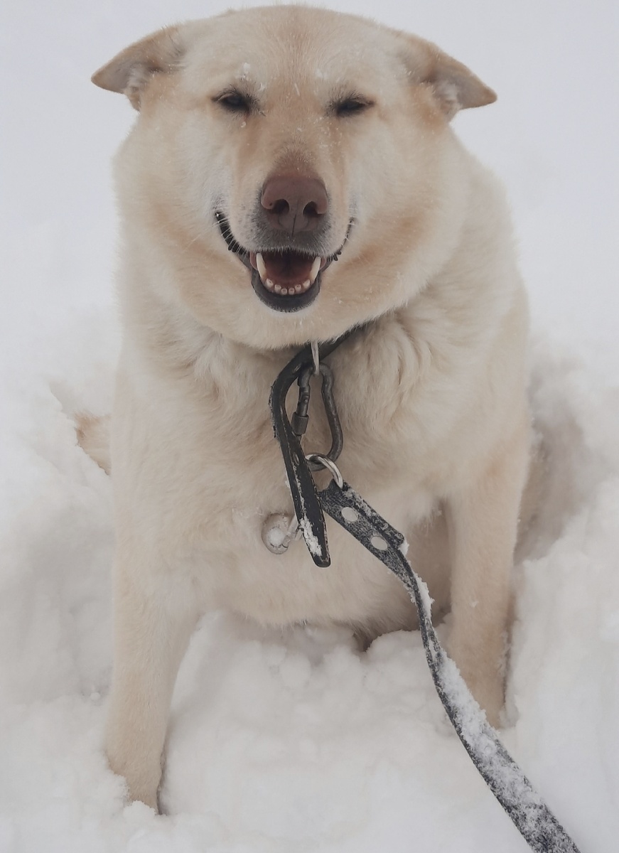 Наилучшие пожелания всем Татьяна от заведующей столовой Милы 💐