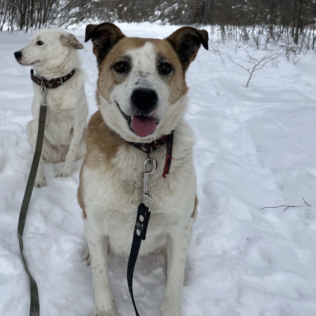 Улыбка Умки вам в подарок 
