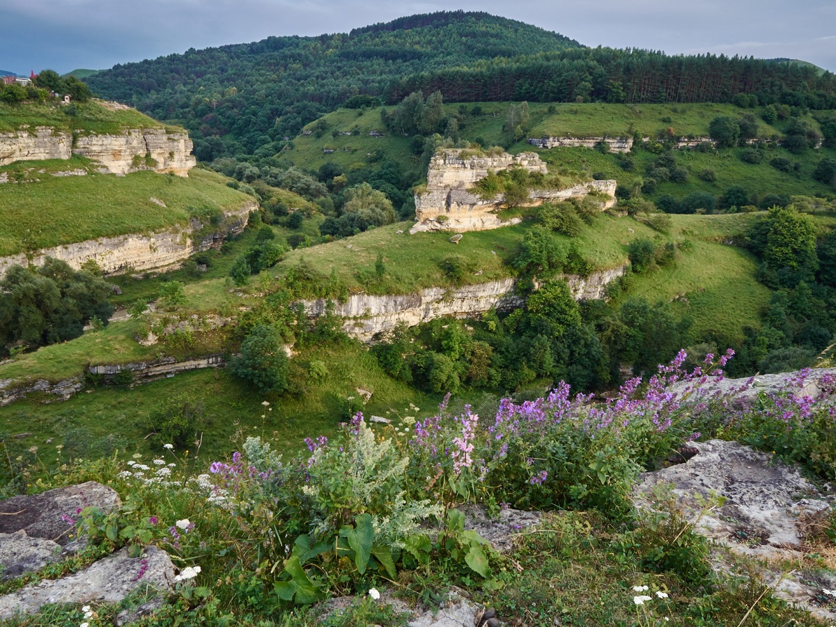 Фото: Воробьева Светлана / Wikimedia