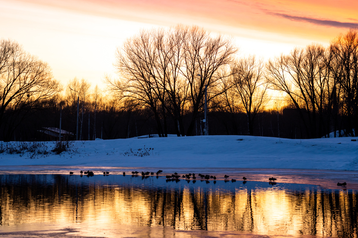 Фото: Андрей Зубов/РИА Верхневолжье