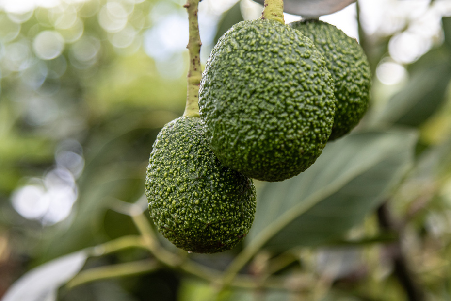    James Wakibia/Keystone Press Agency/Global Look Press