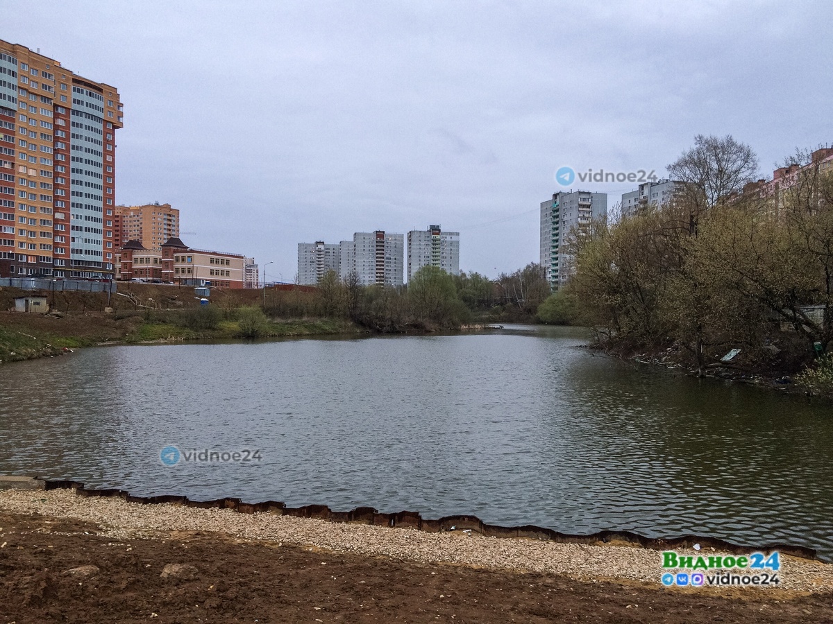 
Малый Тарычевский пруд в ЖК «Зеленые Аллеи»