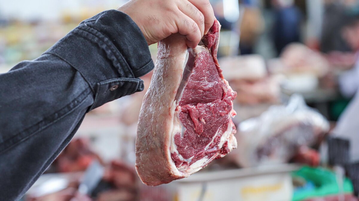    Фото: Razmik Zackaryan/globallookpress.com