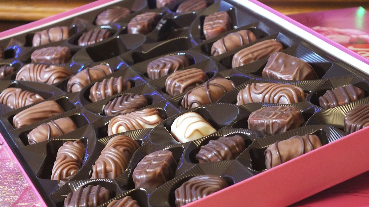    Фото: Victor Lisitsyn/globallookpress.com