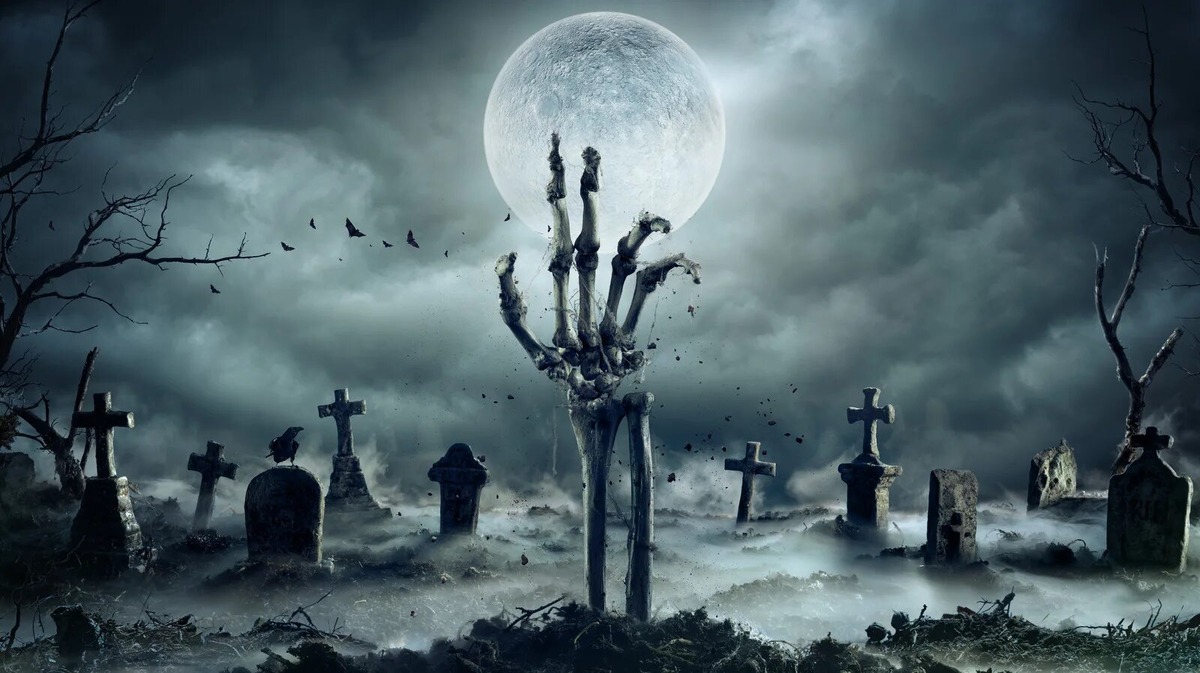 Картинка из сети Интернет 