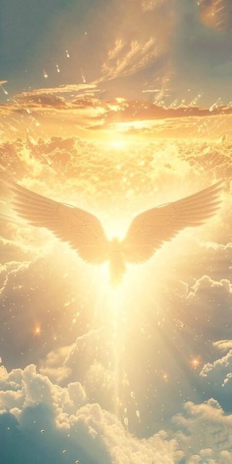 Картинка из сети Интернет