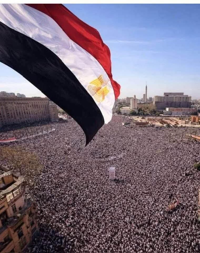 Фото из открытых источников интернета. 