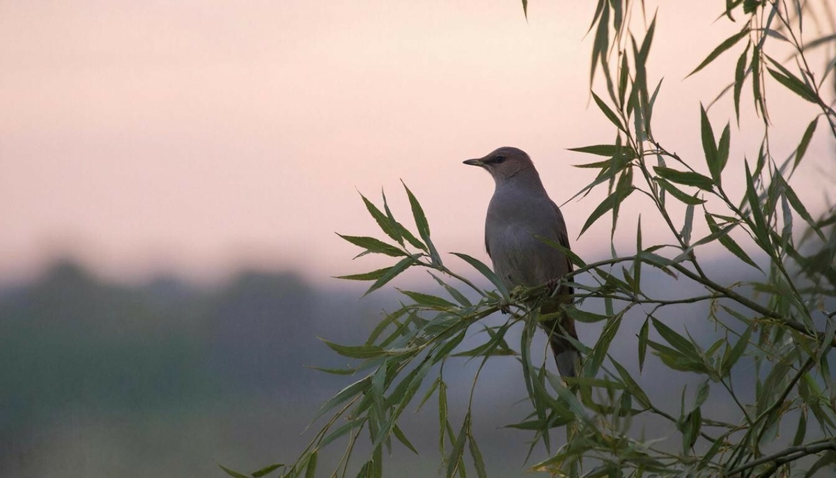 
Изображение сгенерировано нейросетью на основе текста «Миллиард.Татар»