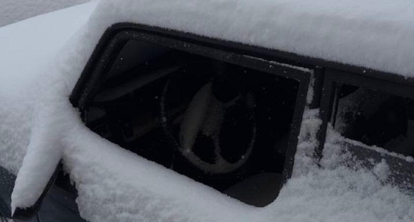    Фото: архив редакции ProГород