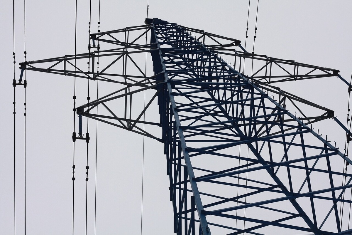    Фото: pixabay.com