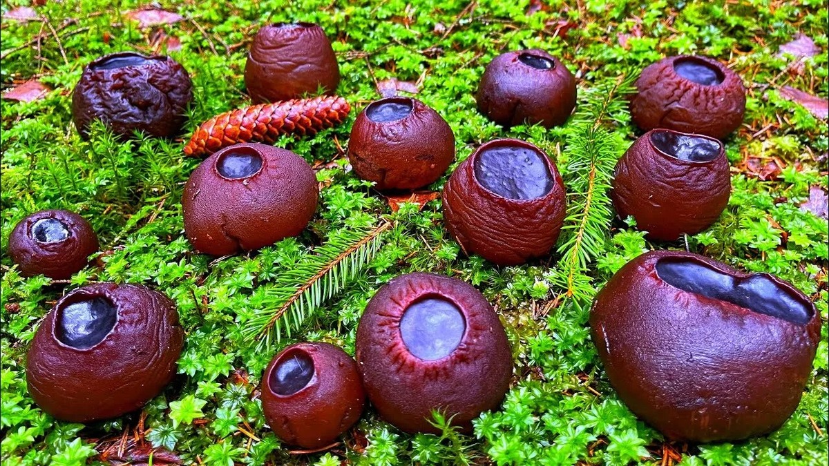 Фотография из интернета