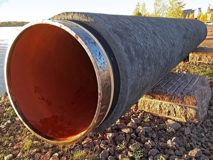     ФОТО: Vuo/ Wikipedia.org