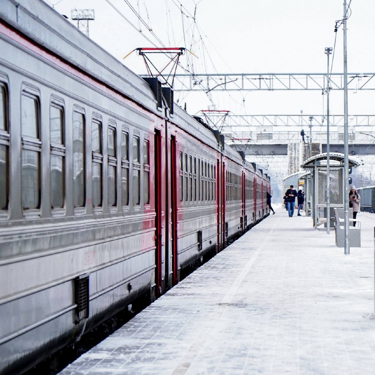 Фото с оф.тгк ЦППК