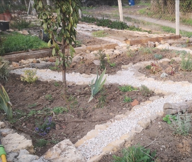 Растет как раз на засухоустойчивой клумбе