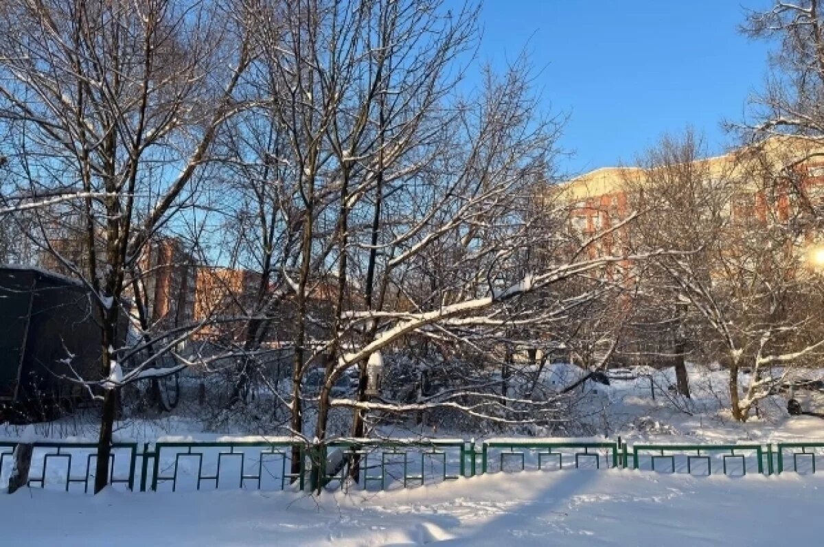    26 января в Туле прогнозируют малооблачную погоду и до -15℃