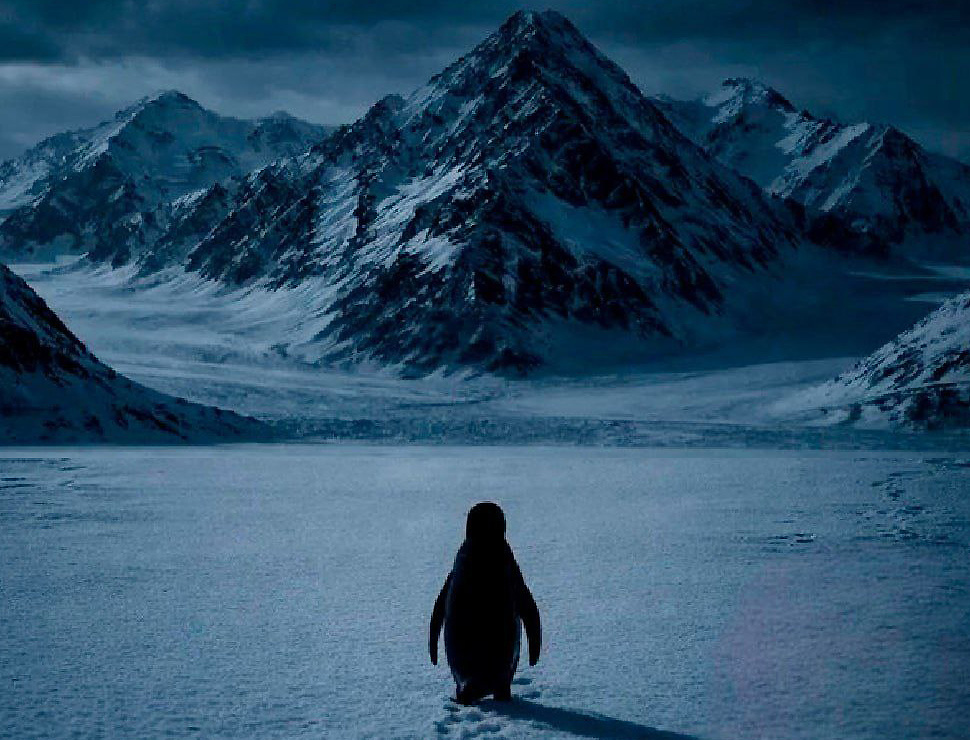 В Сети снова всплыли кадры из документального фильма 2007 года "Встречи на краю света". 