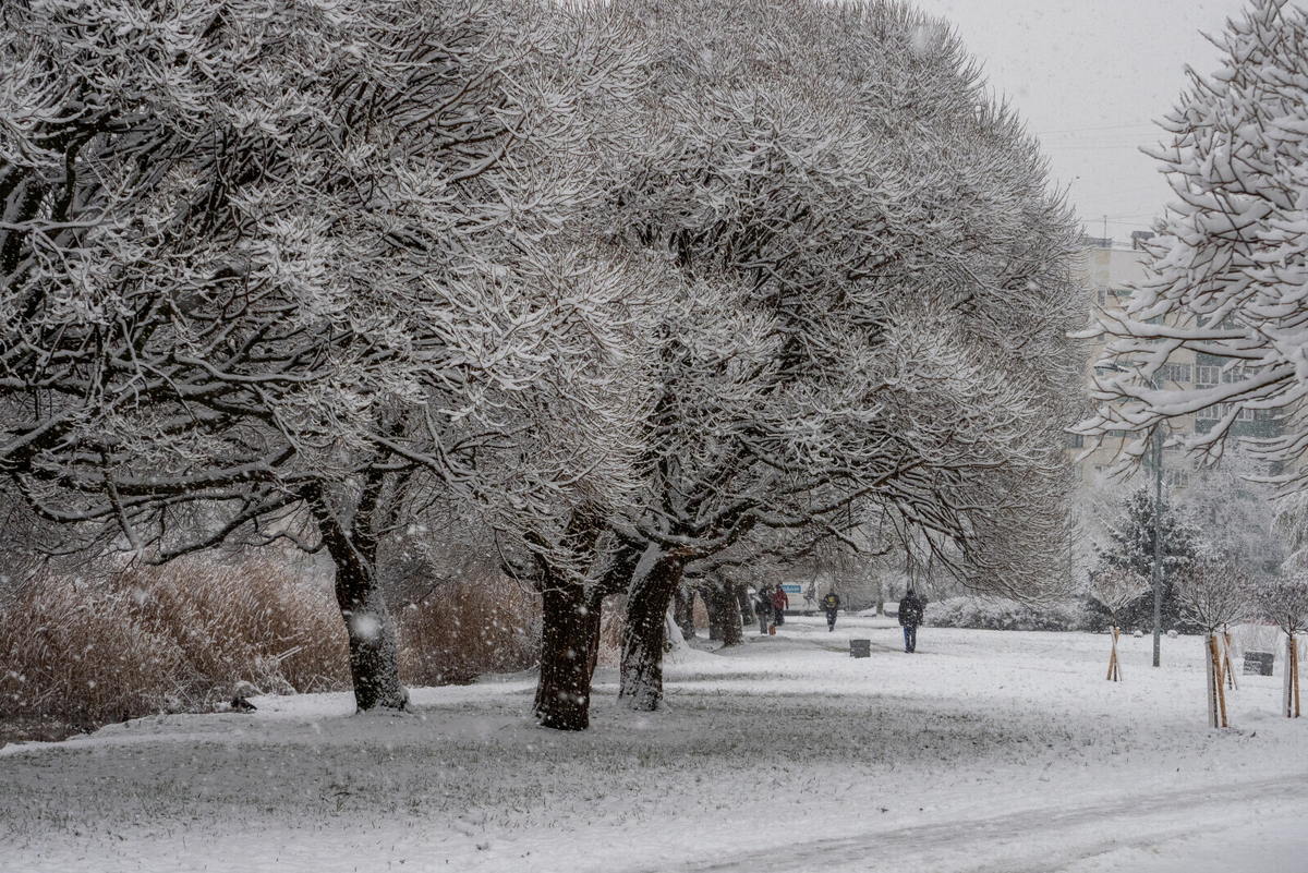 Олег Золото/«Вечерний Санкт-Петербург»