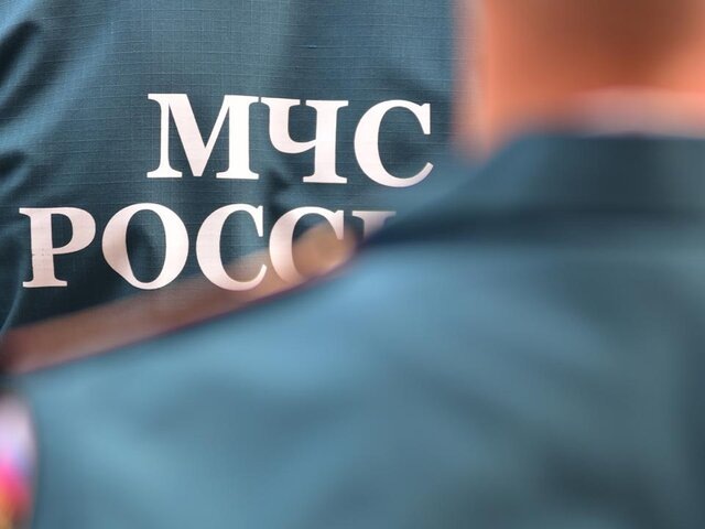    Фото: портал мэра и правительства Москвы