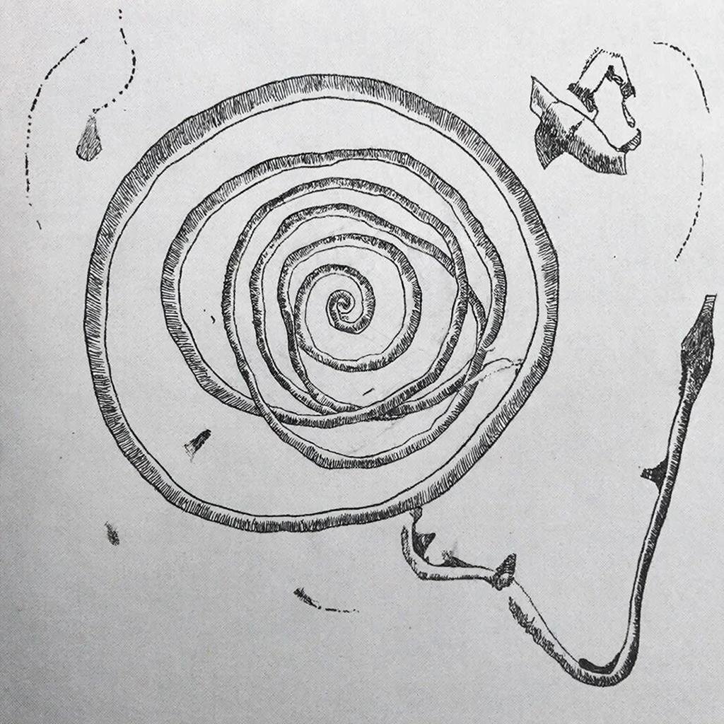 С уважением, Алекс Кам, автор книги "Квест. Где-то во вселенной". Ссылка на книгу в конце статьи. 