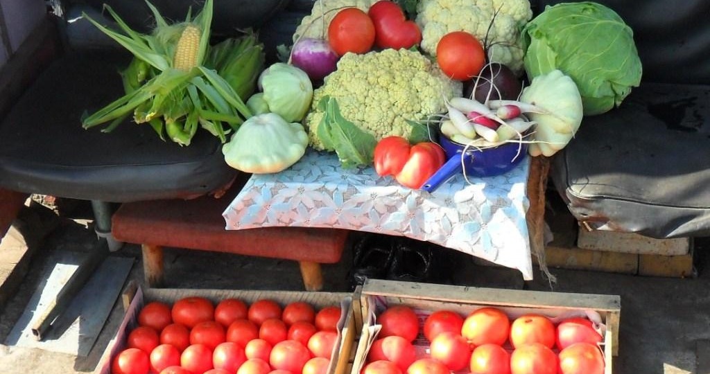 Сорта овощей для Сибири. Опыт огородников.