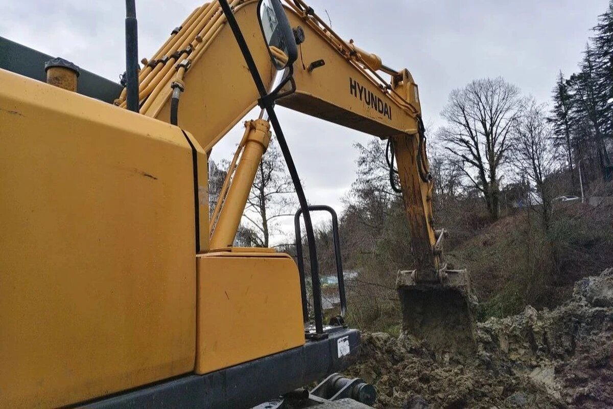    Фото t.me/officialsochi