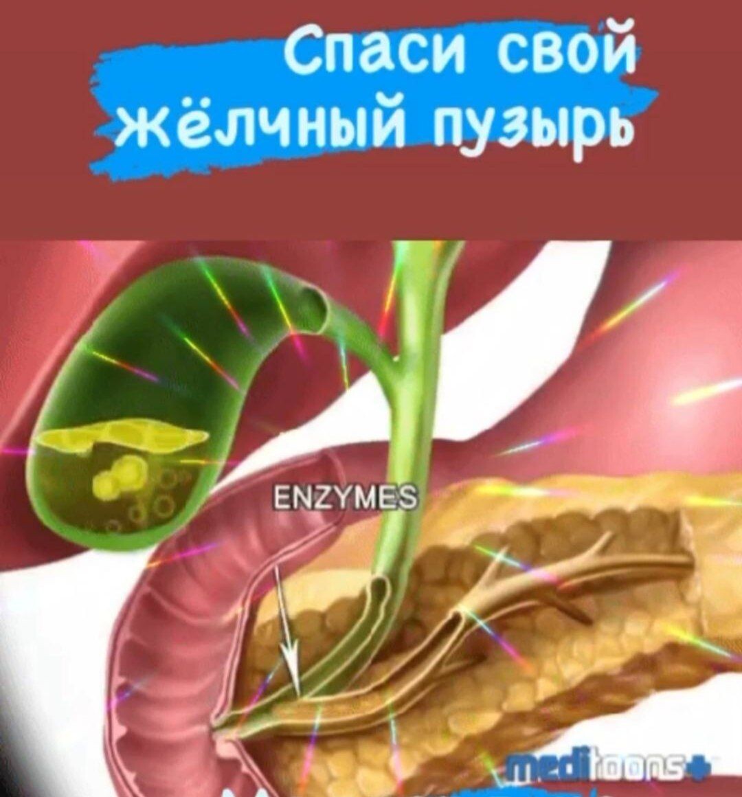 #желчныйпузырь #Церебрология 