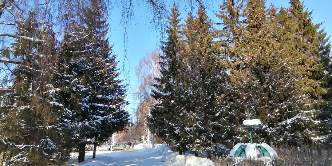 Кто может мне помочь в этой ситуации, и какая помощь от соц.защиты