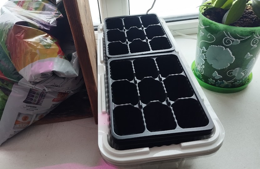 Про мои игры с емкостями для рассады, неудачный опыт и сделанные выводы