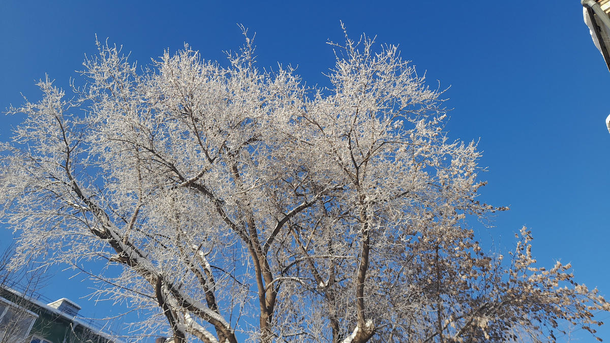 Листайте галерею