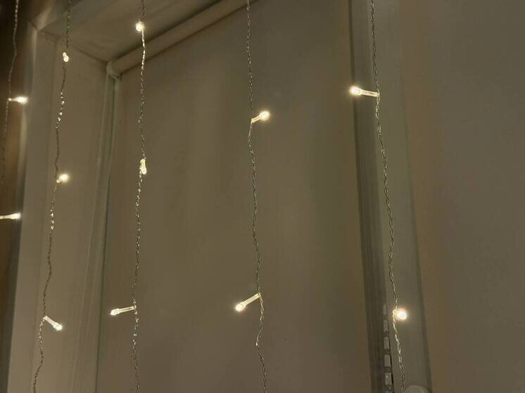     Фото: Архив МК в Питере.