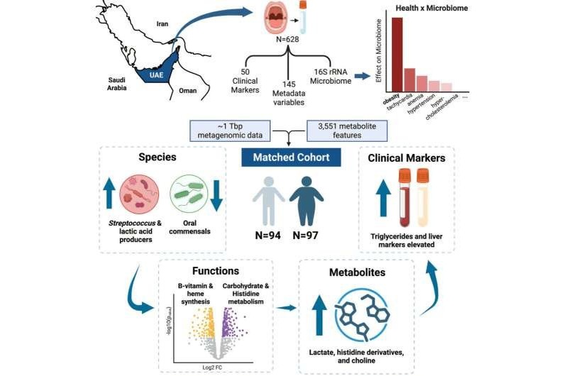    Графический экстракт исследования
