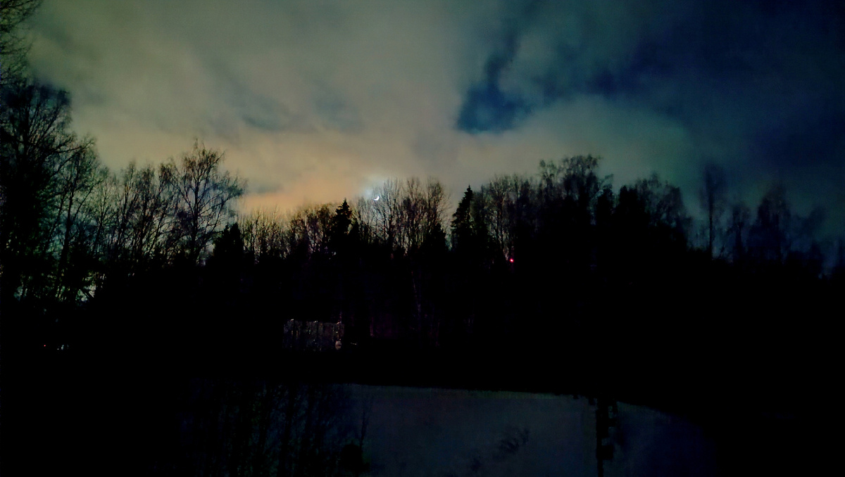 Фотография автора "ночной лес".