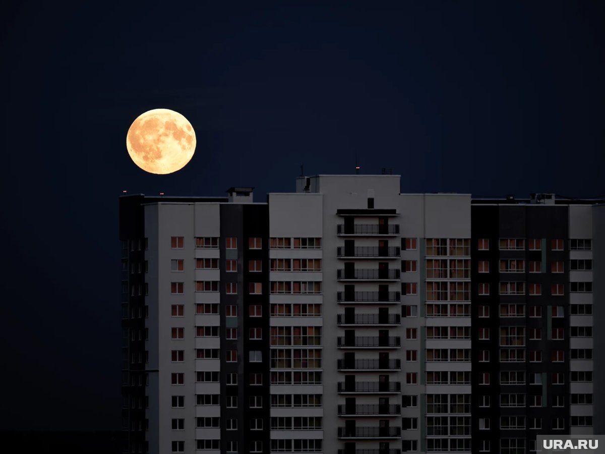     2026 год станет особенным для наблюдений за Луной