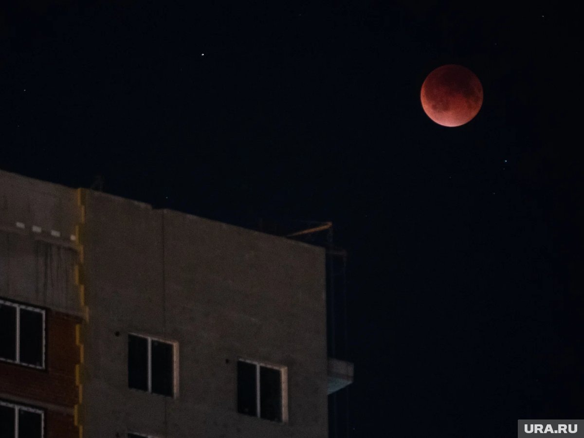    2026 год принесет Кровавую Луну и серию редких суперлуний