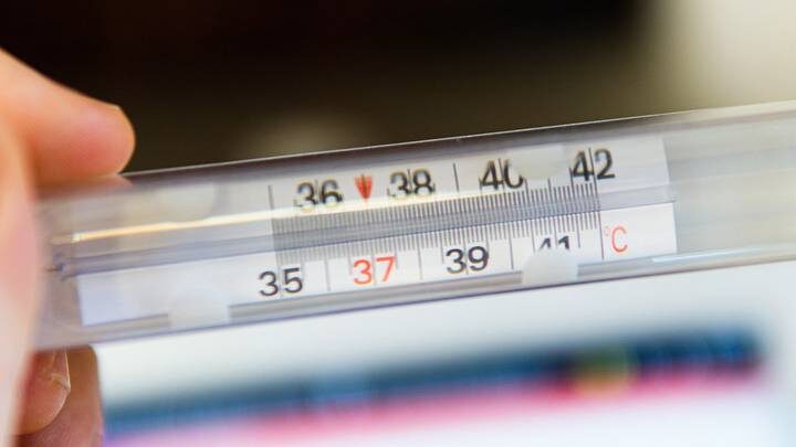 Поначалу похож на простуду: врач Крючков — о симптомах смертельного вируса Нипах