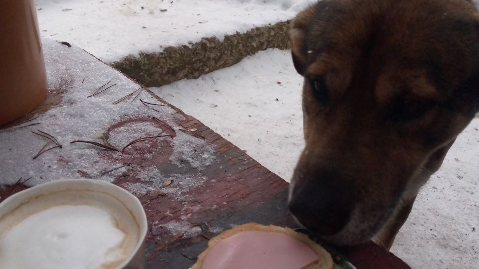 Обо всём чуть по чуть за неделю.